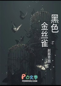 黑色金丝雀